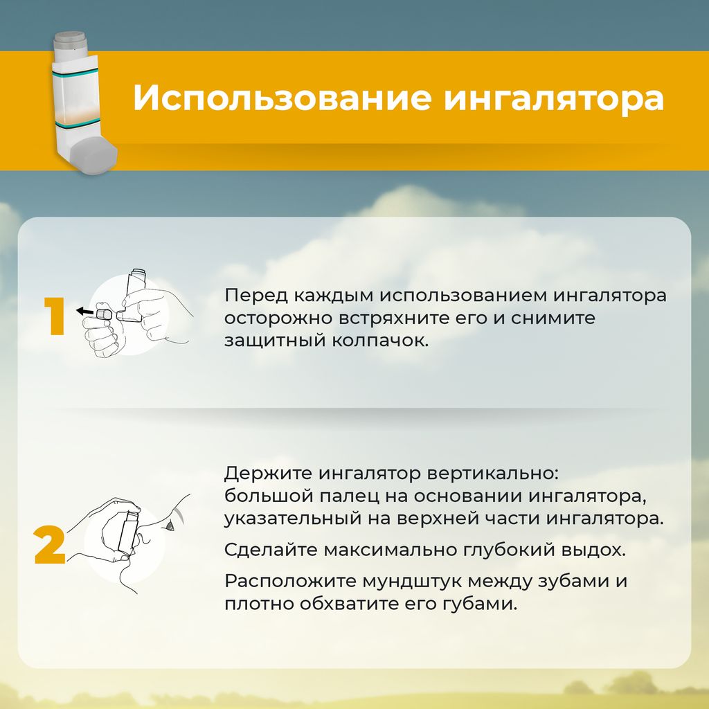 Брезтри Аэросфера, 160 мкг +7,2 мкг +5 мкг/доза, 120 доз, аэрозоль для ингаляций дозированный, 10.7 г, 1 шт.